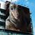 Cher Kona's profile image