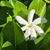 Lori Rowley-Sipple's profile image
