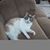 Carol Schaver's profile image