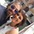 Marzia Sanson's profile image
