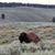 Sarah Lee Burgess's profile image
