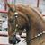 Gayle Lenihan's profile image
