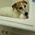 Karen S. Wheeler's profile image