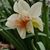 Peggy Judd Desrochers's profile image