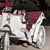 Sharon Bush-Coaxum's profile image