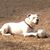 Amy Hicks's profile image