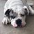 Latisha Lindsey Beasley's profile image
