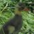 Amy Rohen's profile image