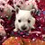 Paula Chambers Martin's profile image
