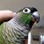 Mike Quayle's profile image
