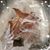 Patricia McAndrew's profile image
