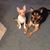 Linda McCloskey's profile image