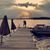 Monica L. Moreno-Mata's profile image