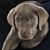 John Oester's profile image