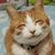 Cindy Pape-Mayotte's profile image