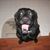 Helena Hendershot's profile image
