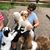 Debbie Schein Berenholtz's profile image