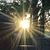 Terri Batkin's profile image