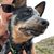 Wendy Nickell's profile image