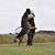 Steve Sudik's profile image