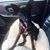 Nick Yannariello's profile image