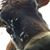 Kristi Lynn's profile image