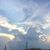 Sharon Willheit Frederickson's profile image