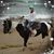 Pam Boland's profile image