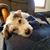 Rebecca Huisken's profile image