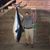 Brian Eller's profile image