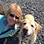 Sue Copeland Francisco's profile image