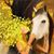 Angela Stanton's profile image