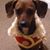 Melissa Bracero Soler's profile image
