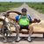 Orlando Garza's profile image