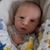 Kevin Nelson's profile image