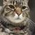 Cynthia Blair's profile image