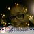 Amanda Armstead's profile image