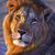 Preet Sidhu's profile image