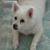 Craig Rizk's profile image