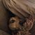 Kelley Martin's profile image