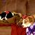 Michelle Steve Rose's profile image