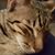 Brad Christianson's profile image