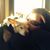 Ashley M. Martin's profile image