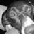 Ron Glover's profile image