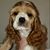 Deanna M Reddick's profile image