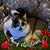 Marybeth Zeck-Muttillo's profile image