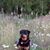 Pamela M. Howard's profile image
