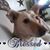Matina E Oswald's profile image