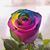 Ruth Wallace Lampien's profile image