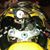 Suzuki Gsx-r's profile image